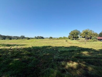 TBD Bennie Morris Rd, Mount Hermon, LA 70450 - photo 5