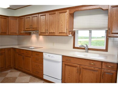Kitchen View 2