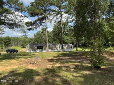 401 Montgomery Rd SW, Summit, MS 39666 - photo 4