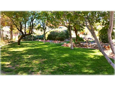 Property Photo. Beautiful green park like yard