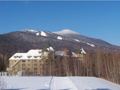 28 Packard Rd unit 531, Waterville Valley, NH 03215 - photo 3