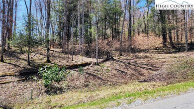 36 Running Bear Cir, Banner Elk, NC 28604 - photo 4