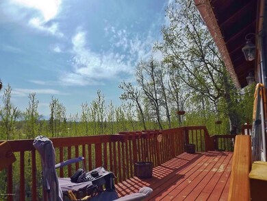 Back Deck