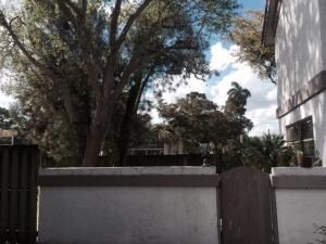 8441 SW 40th Ct, Davie, FL 33328 - photo 6