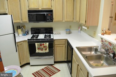 13070 Autumn Woods Way unit 303, Fairfax, VA 22033 - photo 5