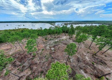 002 Farm To Market Road 83 unit Lot 2, Broaddus, TX 75929 - photo 6