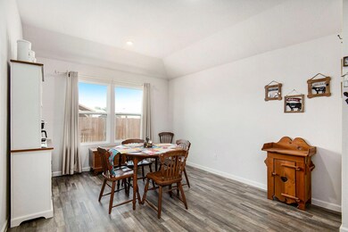 917 Avagail Ave, Springtown, TX 76082 - photo 7