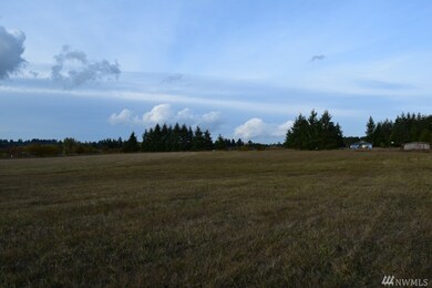 0 Drews Prairie Rd, Toledo, WA 98591 - photo 7