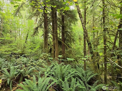 0 NKA Lund Rd, Cosmopolis, WA 98537 - photo 5