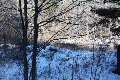 0 Chalk Pond Rd unit 4614058, Sutton, NH 03260 - photo 5