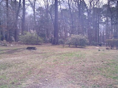 305 Salem Rd, Oxford, NC 27565 - photo 4