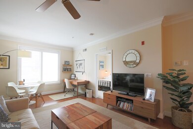 815 N Patrick St unit 409, Alexandria, VA 22314 - photo 5