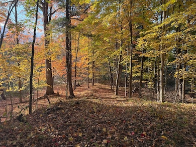 5950 S Lake George Rd, Dryden, MI 48428 - photo 2