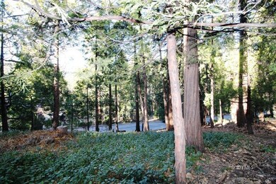 Nicely forested