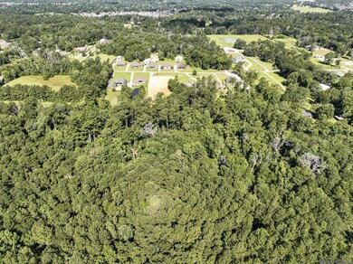 34754 Clinton Allen Rd, Denham Springs, LA 70706 - photo 7