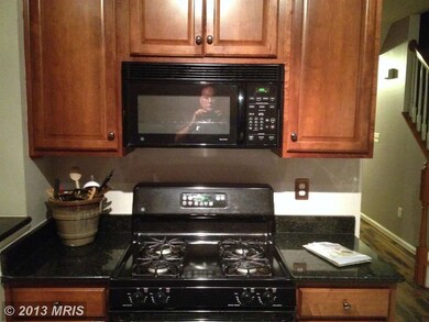 41984 Blue Flag Terrace unit 46, Stone Ridge, VA 20105 - photo 5