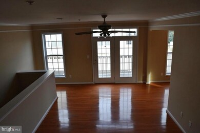 41947 Blue Flag Terrace unit 41947, Stone Ridge, VA 20105 - photo 5