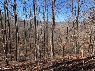 0 Cs-1050, Grayson, KY 41143 - photo 7