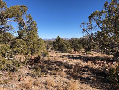 121.5 Greenview Ranch, Seligman, AZ 86337 - photo 6