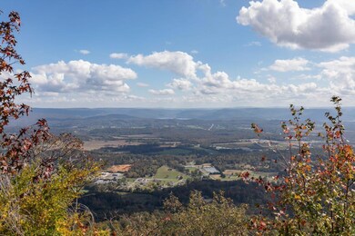 0 Hovering Hawk Dr unit 1326351, Jasper, TN 37347 - photo 4