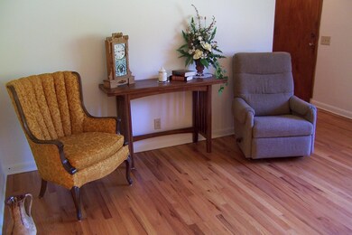 13 Sycamore Dr, Kimberling City, MO 65686 - photo 5