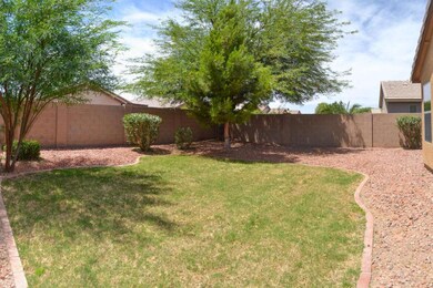 23 Back Yard