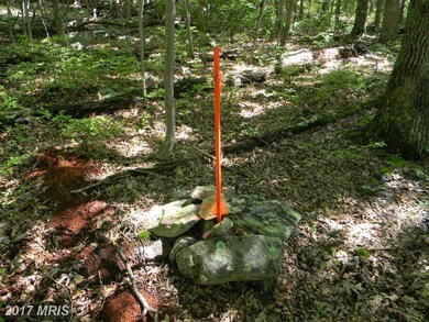 0 Back Rd unit 1003917327, Strasburg, VA 22657 - photo 4