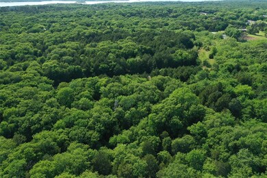 TBD 11.75 Scott Hill Rd, Pottsboro, TX 75076 - photo 3