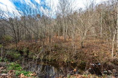 873 Indian Gap Rd, Sevierville, TN 37876 - photo 7