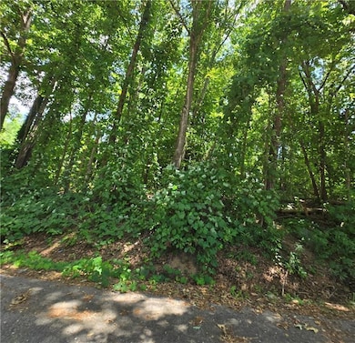 View of undeveloped land