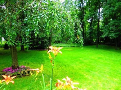 Yard/Garden