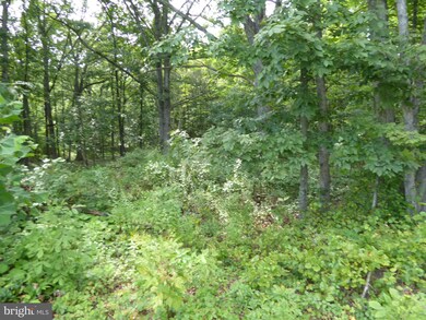 1112 Off I L Pugh Rd, Bloomery, WV 26817 - photo 3