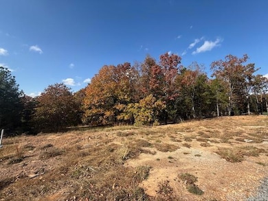 46 Summer Sky Dr, Greenbrier, AR 72058 - photo 2