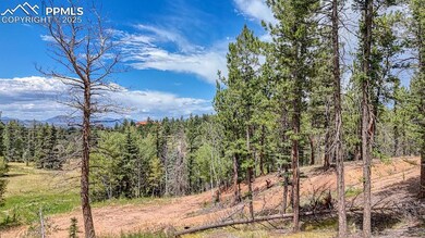 18 Falcon Cir, Florissant, CO 80816 - photo 4