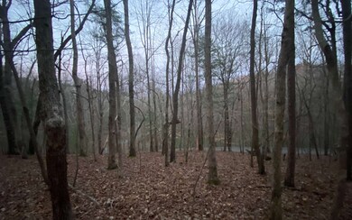 Additional View