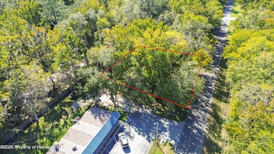 0 Lark Ave unit 2256031, Brooksville, FL 34601 - photo 3