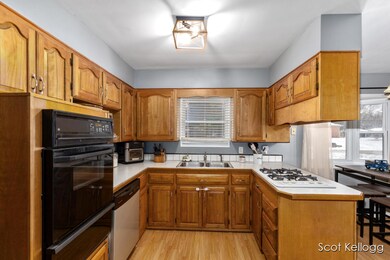 323 E Beech St NE, Cedar Springs, MI 49319 - photo 6