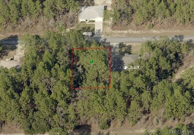 3748 W Lappula Ln, Citrus Springs, FL 34433 - photo 5