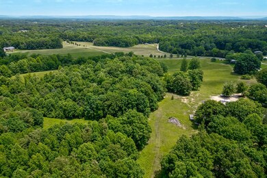 Tract 1 Dunn Rd, Sparta, TN 38583 - photo 5