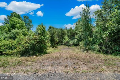 12217 Braddock Rd, Fairfax, VA 22030 - photo 7