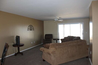 IMG_1931 (1)