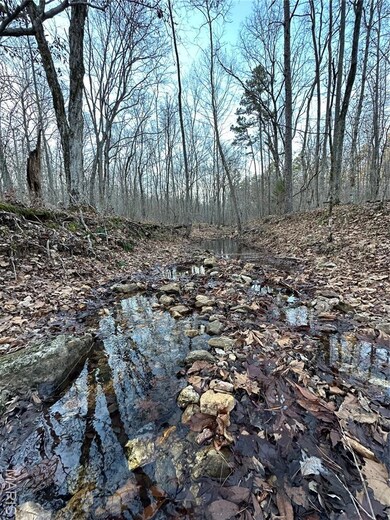 TBD County Road 426, Epps Township, MO 63901 - photo 4