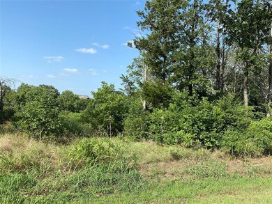 371 Palmilla Dr, Gordonville, TX 76245 - photo 6