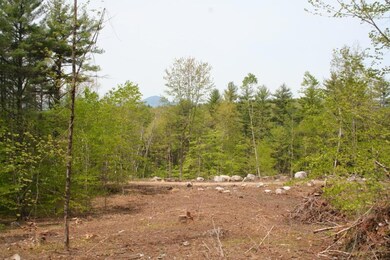 View of Mount Kearsarge from lot.