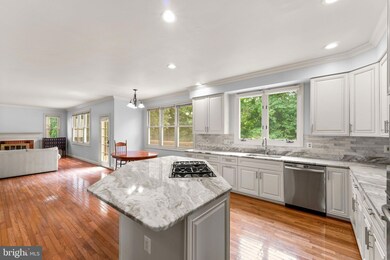 12607 Asturian Ct, Herndon, VA 20171 - photo 7