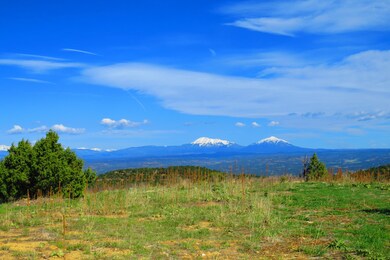 33010 Mora Ln unit 76, Trinidad, CO 81082 - photo 2
