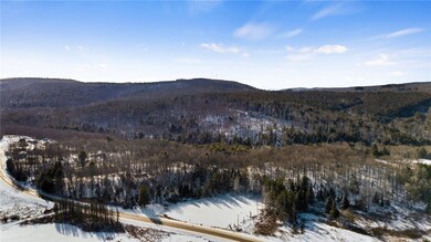 0, Otselic, NY 13815 - photo 4