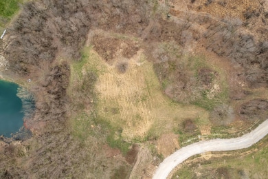 1053 Overlook Ct, Lodi Township, MI 48176 - photo 6