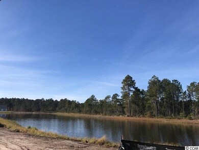 Tranquil Lake View