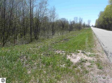 00 Putnam Rd, Hale, MI 48739 - photo 2